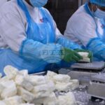 КНА: Кипърските производители на сирене виждат допълнителен потенциал за износ на халуми на американския пазар