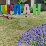 Чирпан ще отбележи Деня на народните будители с тържествена програма на 2 ноември