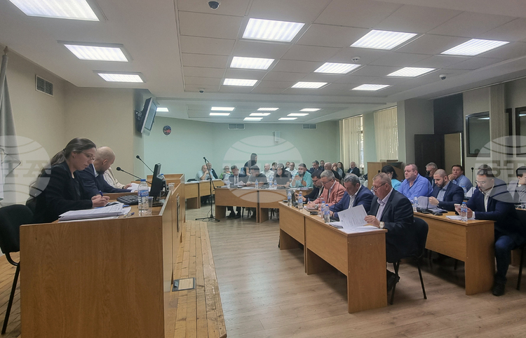 Общинският съвет в Плевен ще обсъди пет предложения за изменения в действащи общински наредби
