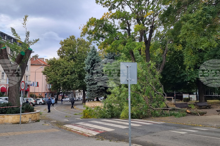 Кметът на Сливен разпореди аварийните екипи да работят без прекъсване заради силния вятър