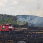 Четири екипа гасят горски пожар край село Побит камък, влязъл в България от Сърбия