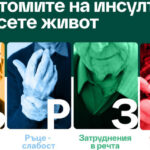 29 октомври Световен ден за борба с инсулта