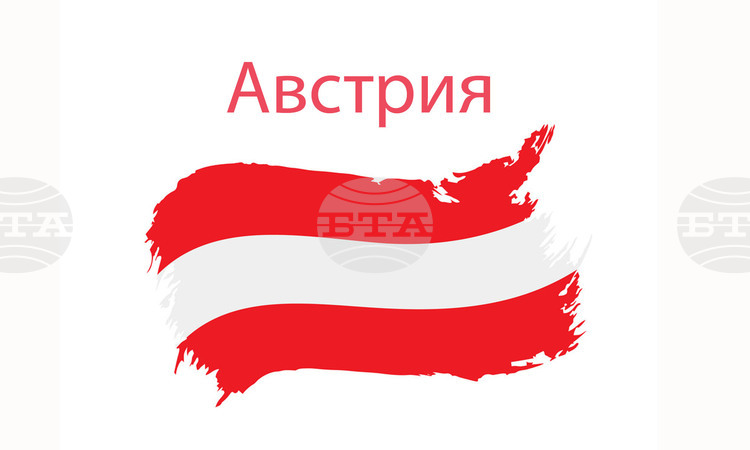 Освободена е отвлечената в Нигер австрийска гражданка