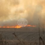 Общо 88 пожара са потушени в страната през изминалото денонощие, няма пострадали