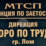 Четири свободни работни места за специалисти с висше образование са обявени в Бюрото по труда в Лом